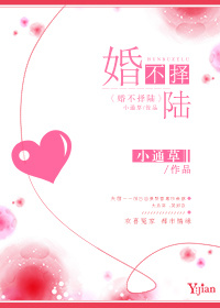 婚不择陆最新章节